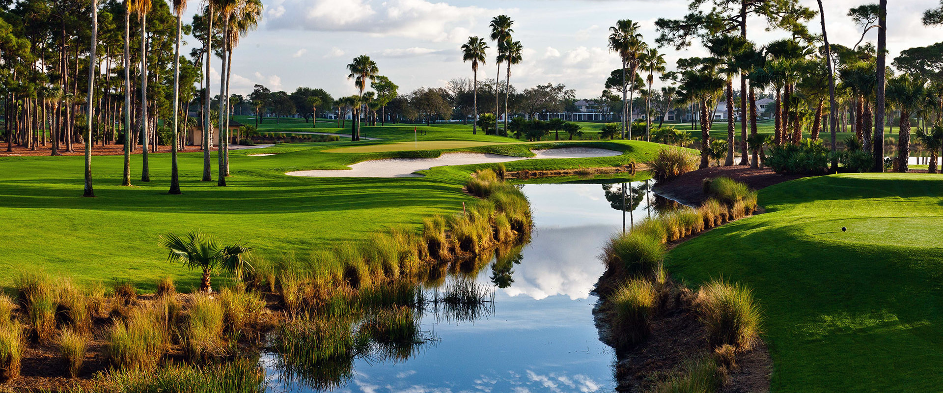 A Comprehensive Guide to Changing Your Business Entity Name in Clearwater, Florida