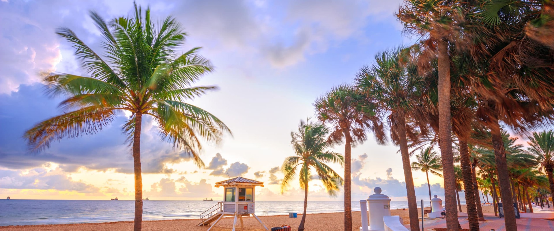 Understanding Business Entities in Clearwater, Florida: A Comprehensive Guide